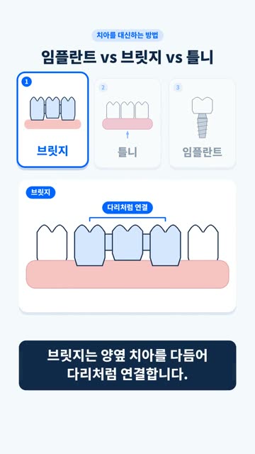 모션 인포그래픽 3