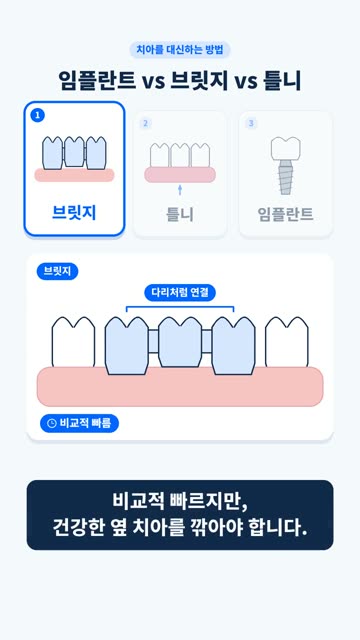 모션 인포그래픽 4
