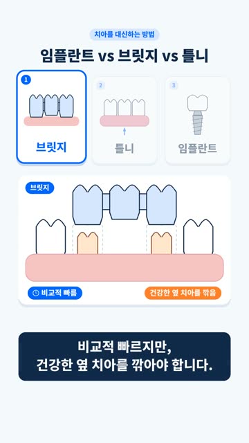 모션 인포그래픽 5